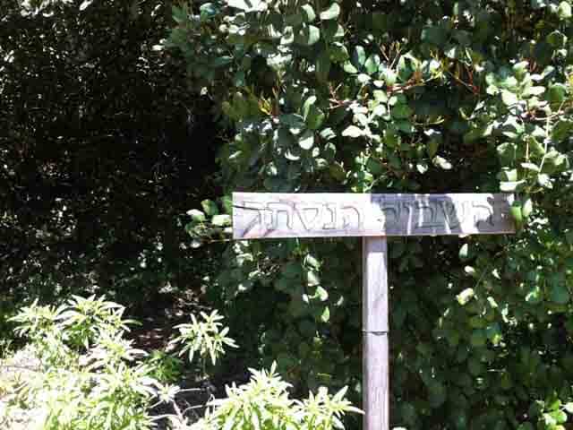 השביל הניסתר - טיול מהנה באמירים - המלצת אור בראשית צימרים בצפון באמירים Home Banner 52a 2