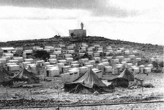 Amirim farod 1950