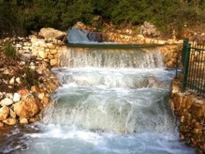 Shefer Spring