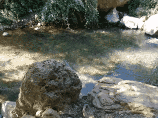 Tzalmon Stream