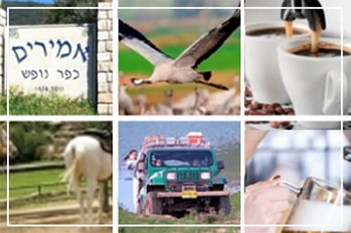 קולאז' אטרקציות באמירים ובגליל העליון