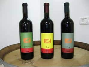 bottles2