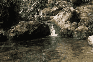 nahal ammud reserve