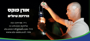 אורן פוקס סיור עששיות